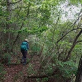 夏山低山が始まる前に。　――　二上山