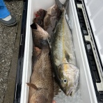昇丸の釣果速報
