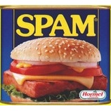 『SPAM』の画像