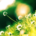 なにか気のもちよう