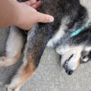 可哀想！は可哀想？？