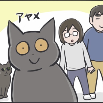 毎日が発見ネット掲載のお知らせ