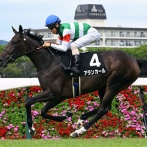 【競馬予想】[1]第87回優駿牝馬(オークス)(GⅠ) /2026