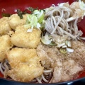 函館市若松町26 蕎麦処 かしわ屋 その5 いか天おろしそば850円