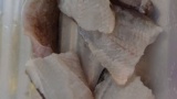 この間 釣ってきたお魚さんを（※画像あり）
