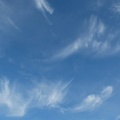 今朝の雲