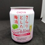 おっさん独り、缶チューハイを愉しむ。