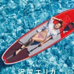 グラビアリークス