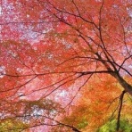 お客様と共に歩みたい、不動産会社社長日記