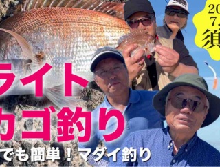須磨でライトカゴ釣り！誰でも簡単マダイ釣り！