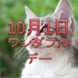 『【2020年10月ワンダフルデー】エントリー＆クーポンまとめ』の画像