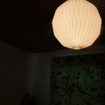 アナベルにかこまれて