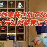 『まだ実装されてないアイテムが姿見に？！』の画像