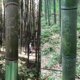 「ヒョンウ♡スビン」って誰？日本の観光名所、竹に名前を刻んだ韓国人＝韓国の反応