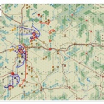 鶴は翔んでゆく