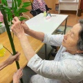 七夕〜願いを込めて〜