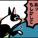 『犬って鼻が良いのか悪いのか謎じゃない?』の画像