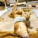 ７時過ぎまで仕事してたら(￣▽￣;)