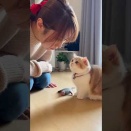 ２０２５年１２月８日　作業中報告