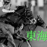 『東海S(G2)データ解析』の画像