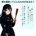 ＃３０　鞭の種類
