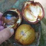 『下北半島から帰ってきました。』の画像