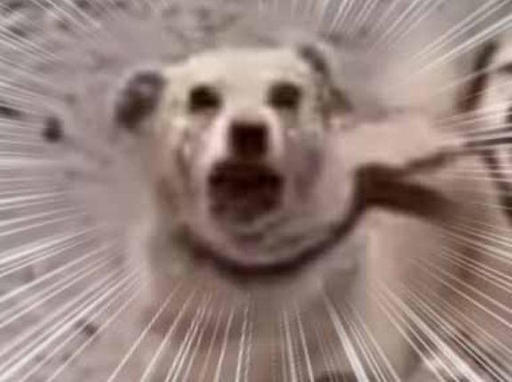 道端にめちゃくちゃキレてる奴がいた。お、落ち着けって！ → 仲間が必死に止めているんだが…