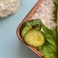 先週の夫弁当のふり返り