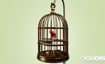 カーディナルの鳥籠