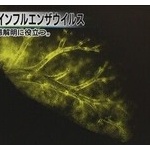 【科学】光るインフルエンザウイルス開発に成功
