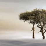 『キリンの絶滅の予兆:マサイキリンを絶滅危惧種に指定』の画像