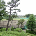 世田谷区立玉川野毛町公園野球場