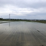 三重県よろずや