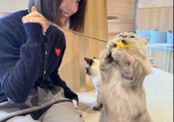 猫をいじる渡辺莉奈さん、すごい表情をしてしまうwwwwww