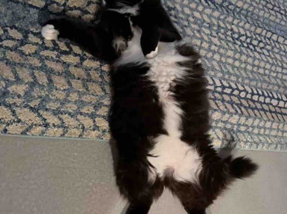 【ご飯日記】アルバイトデーはそこそこヘルシー