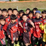 『甲佐！』の画像