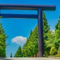 【参拝すべきは千鳥ヶ淵戦没者墓苑】靖国神社参拝候補者への投票を禁ず