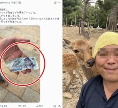 韓国人が奈良の鹿に紙幣を食べさせたという奈良の市議会議員のXのポストに韓国中がヒステリー