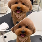 青森県　五所川原市　ワンラブ　エルムの街店　ブログ