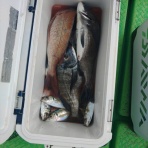 釣り筏　清福丸