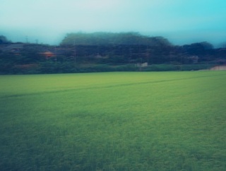 結局もう日本には秘境村みたいなのって無いよな