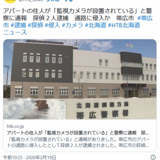 痛いニュース(ﾉ∀`)