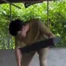 男が緑の葉っぱをたくさん持ってきた。床にパラパラと置いていく → こんな光景になりました…