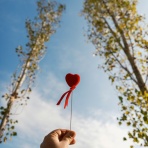 魅力開花カウンセラー◆にしむらみく Official Blog