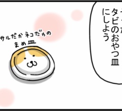 もう４年はずっと一緒にいる食器