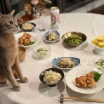 おうちごはんとおかしとねこ