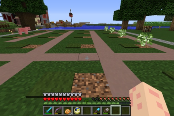 マインクラフト リリシア放浪記 バリュバイオ 2