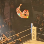 【画像】フワちゃん、お前らの想像の5倍くらい飛ぶ