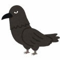 【恐怖】カラスが怖い。あいつらには絶対感情があるし、一度追い払った俺の顔を覚えて陰で何かしようとしてるに違いない…