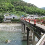 有機無農薬栽培茶　国友農園